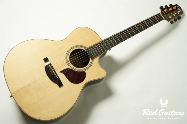 F130-GA Sitka Spruce / Indian Rosewood